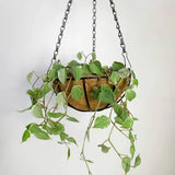 Vaso Fibra De Coco Suspenso 30cm Com Suporte Para Jardim