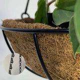 3 Vasos De Fibra De Coco 20cm Plantas Suspenso Com Corrente Cor Natural Orgânico
