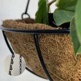 Vaso Fibra De Coco Suspenso 30cm Com Suporte Para Jardim