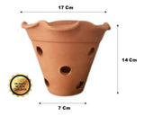 Kit Com 4 Vaso Barro De Parede Para Orquídea