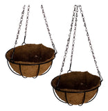 2 Vasos De Fibra De Coco 20cm Plantas Suspenso Com Corrente