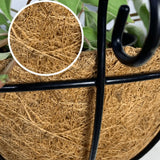 2 Vasos De Fibra De Coco 20cm Plantas Suspenso Com Corrente