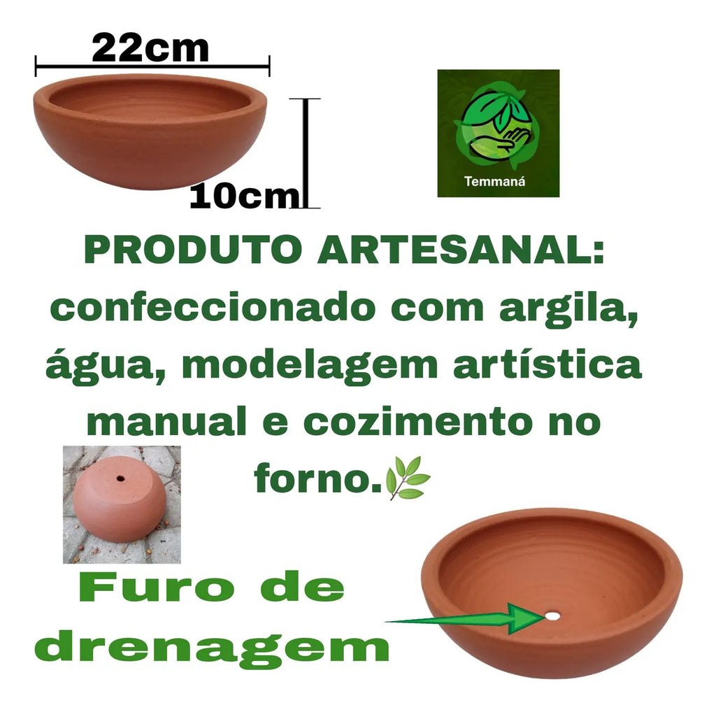 Vaso Cuia Bacia Para Plantas Cerâmica Nº 0 22x8,5