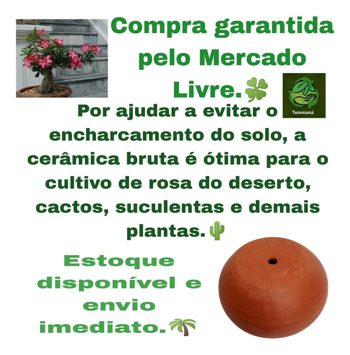 Vaso Cuia Bacia Para Plantas Cerâmica Nº 0 22x8,5