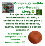 Vaso Cuia Bacia Para Plantas Cerâmica Nº 0 22x8,5