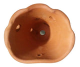 Kit Com 4 Vaso Barro De Parede Para Orquídea