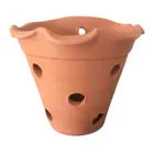 Kit Com 4 Vaso Barro De Parede Para Orquídea